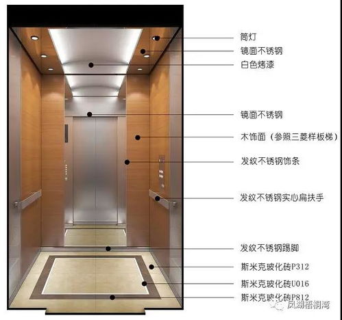 鳳湖梧桐灣嚴(yán)選世界一流電梯品牌 精心打造家門口的第一道風(fēng)景